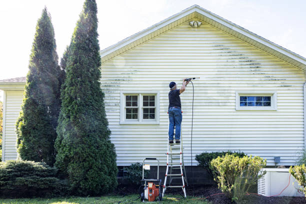 Best Dumpster Area Cleaning  in Manorville, NY
